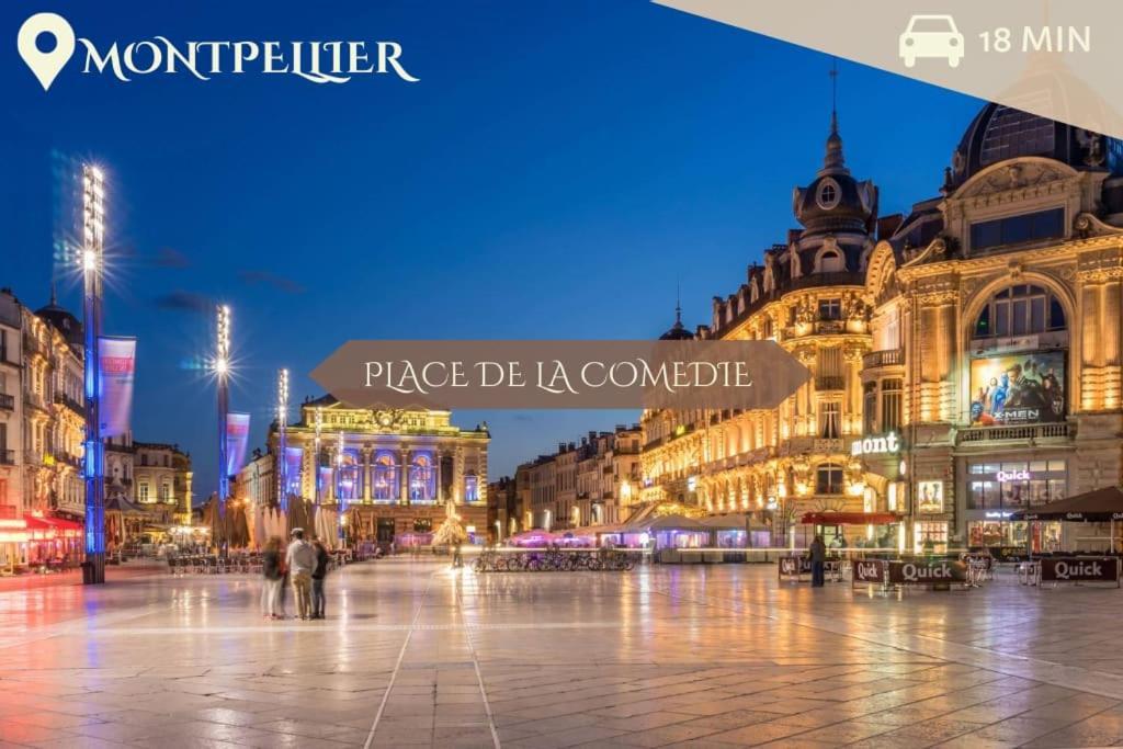 016- T2 Tropisme, Appart 1 Chambre,Clim,Wifi,Parking Montpellier Buitenkant foto