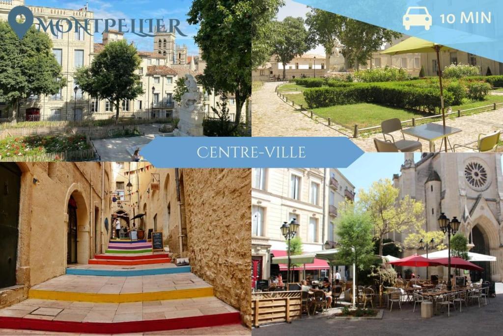 016- T2 Tropisme, Appart 1 Chambre,Clim,Wifi,Parking Montpellier Buitenkant foto