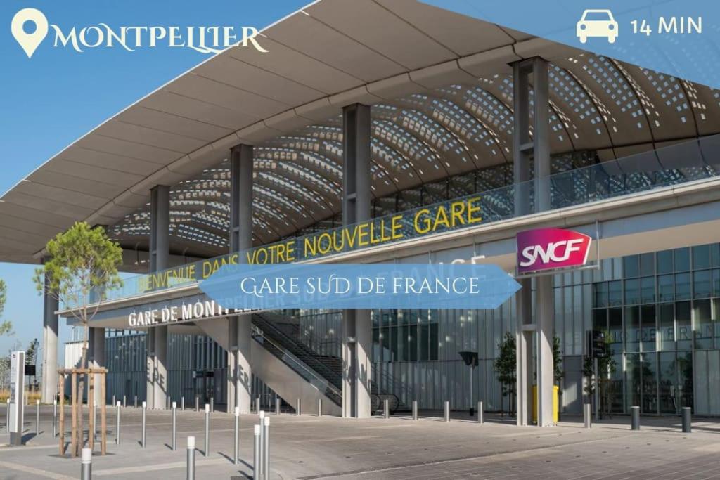 016- T2 Tropisme, Appart 1 Chambre,Clim,Wifi,Parking Montpellier Buitenkant foto